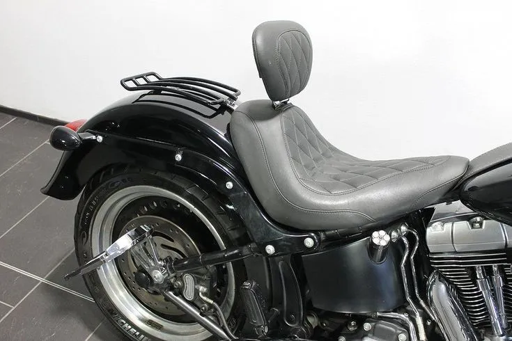 Harley-Davidson FLSTF Image 3